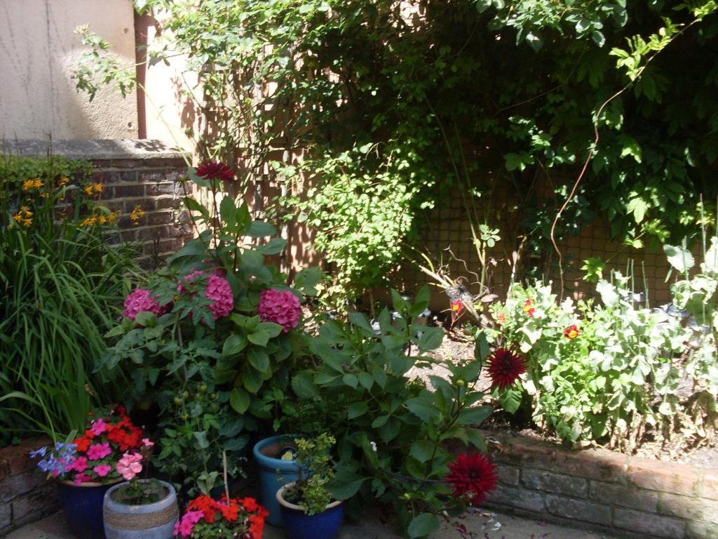 Cambridge House Guest House Eastbourne Bilik gambar
