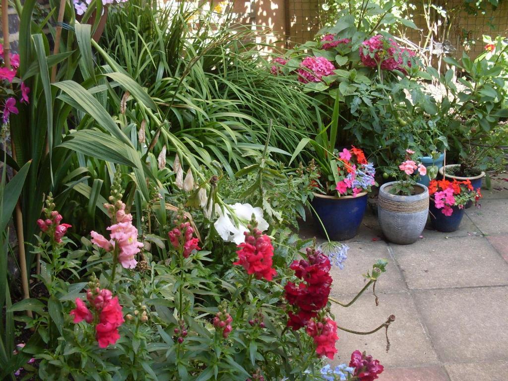 Cambridge House Guest House Eastbourne Bilik gambar